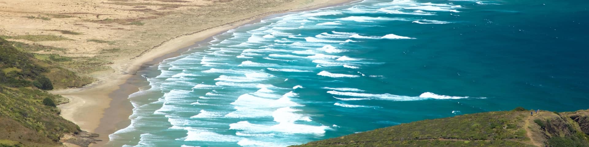 Cape Reinga showing tranquil scenes, general coastal views and a beach