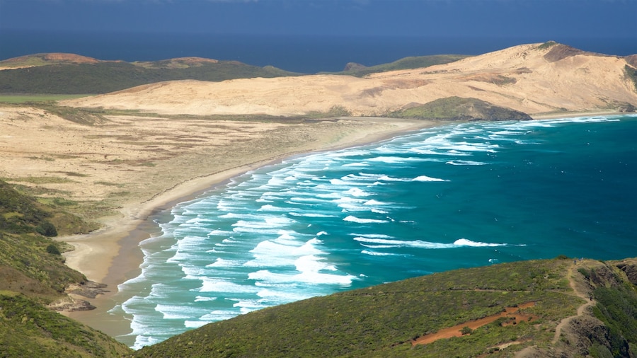 Cape Reinga showing tranquil scenes, a sandy beach and general coastal views