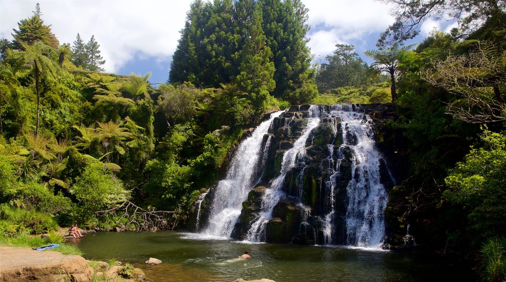 Paeroa mostrando cascata e fiume o ruscello