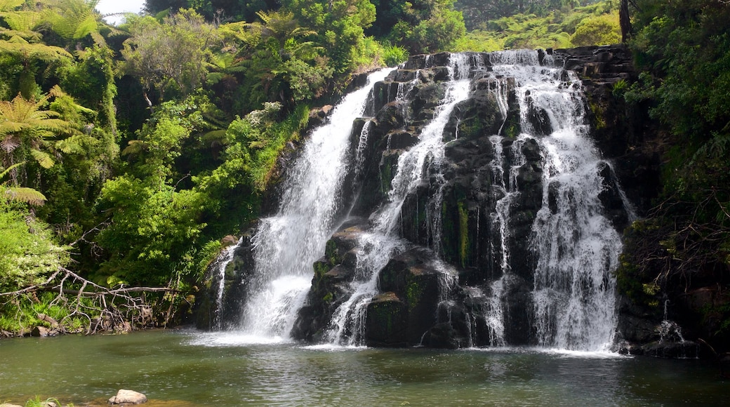 Paeroa showing a waterfall and a river or creek