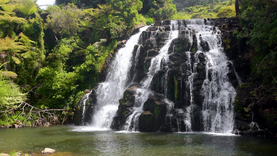 Paeroa featuring a river or creek and a waterfall