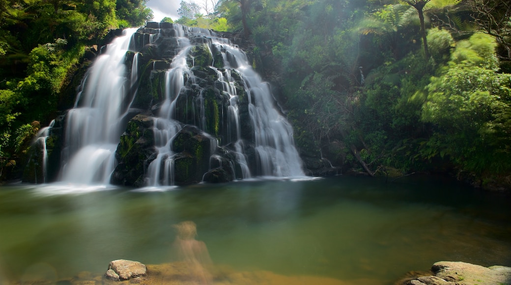 Paeroa che include fiume o ruscello e cascate