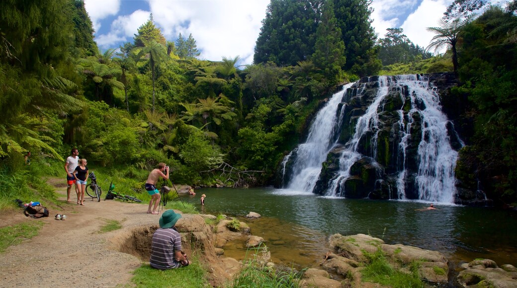 Paeroa which includes a river or creek and a cascade as well as a small group of people