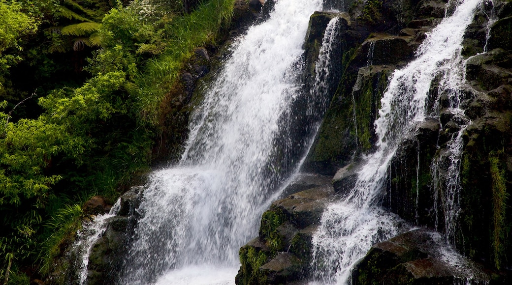 Paeroa which includes a waterfall