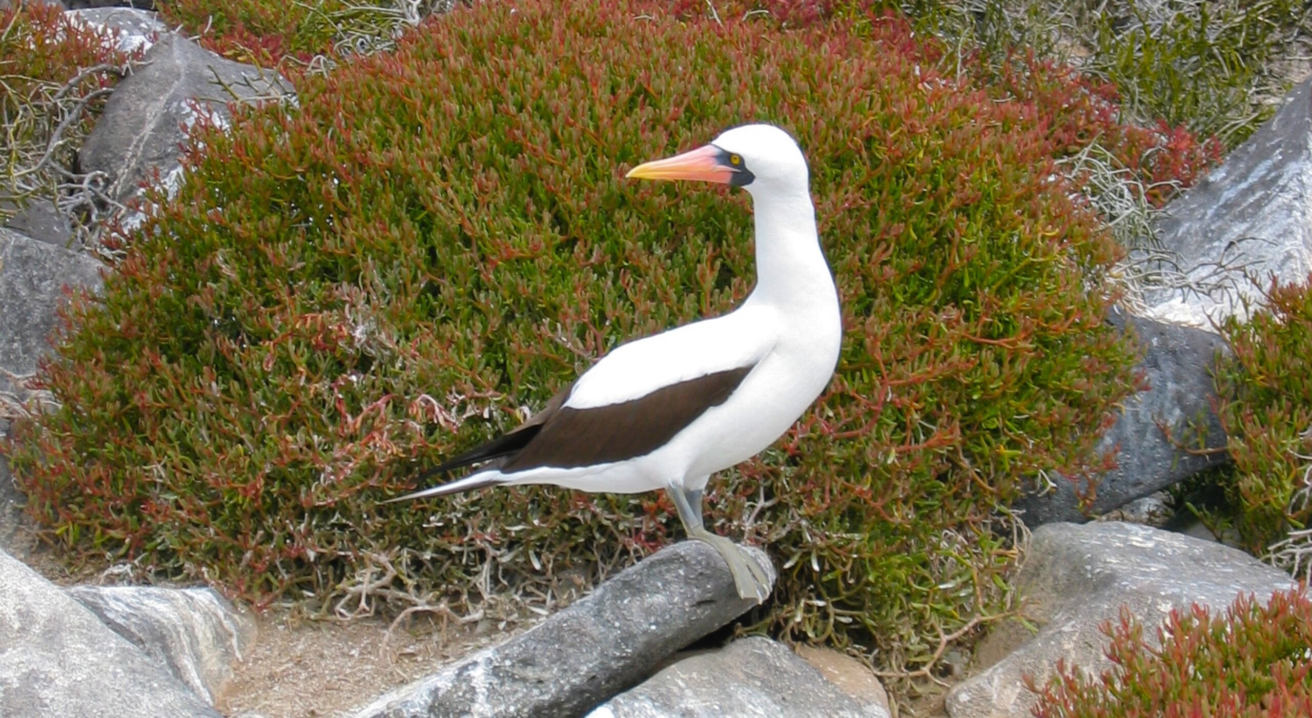 Espanola Island, EC Vacation Rentals & more Vrbo