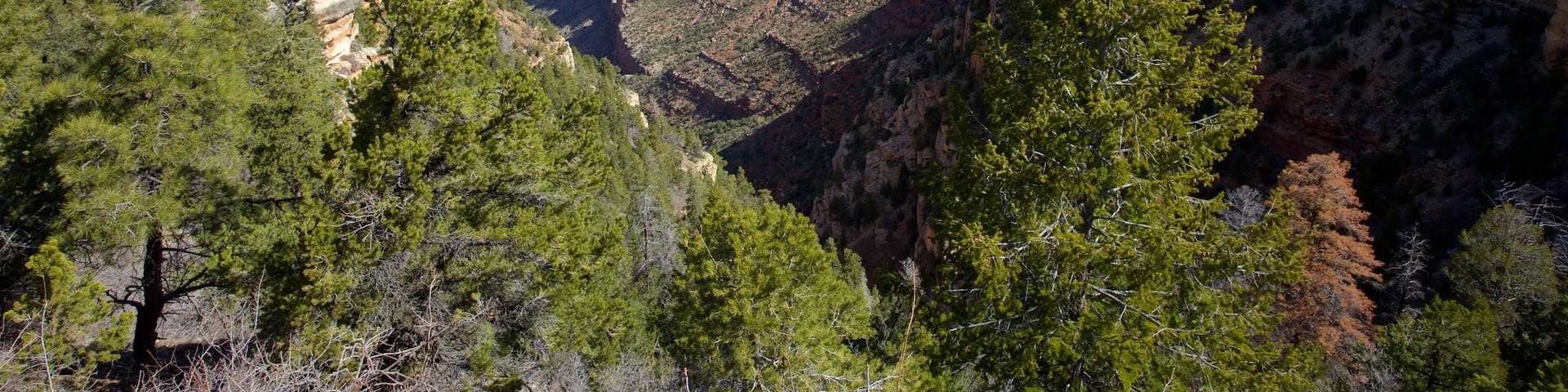Grand Canyon, Arizona, United States of America