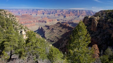 Grand Canyon showing a gorge or canyon and tranquil scenes