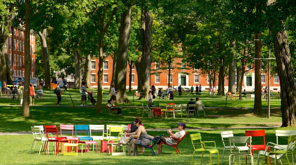 Harvard University montrant jardin aussi bien que petit groupe de personnes