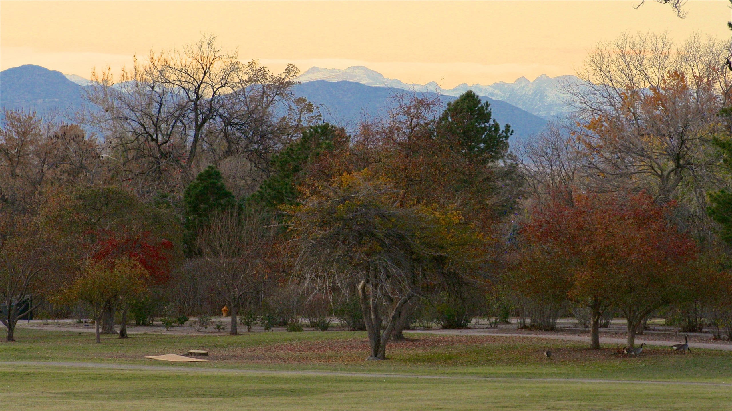 City Park Landscape