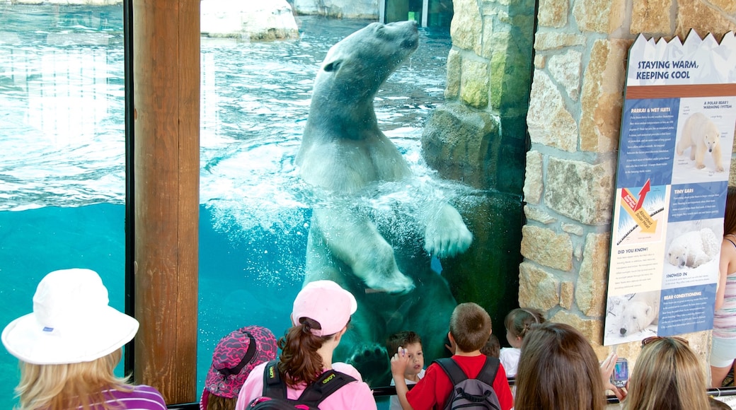 Kansas City Zoo das einen Meeresbewohner und Zootiere sowie kleine Menschengruppe