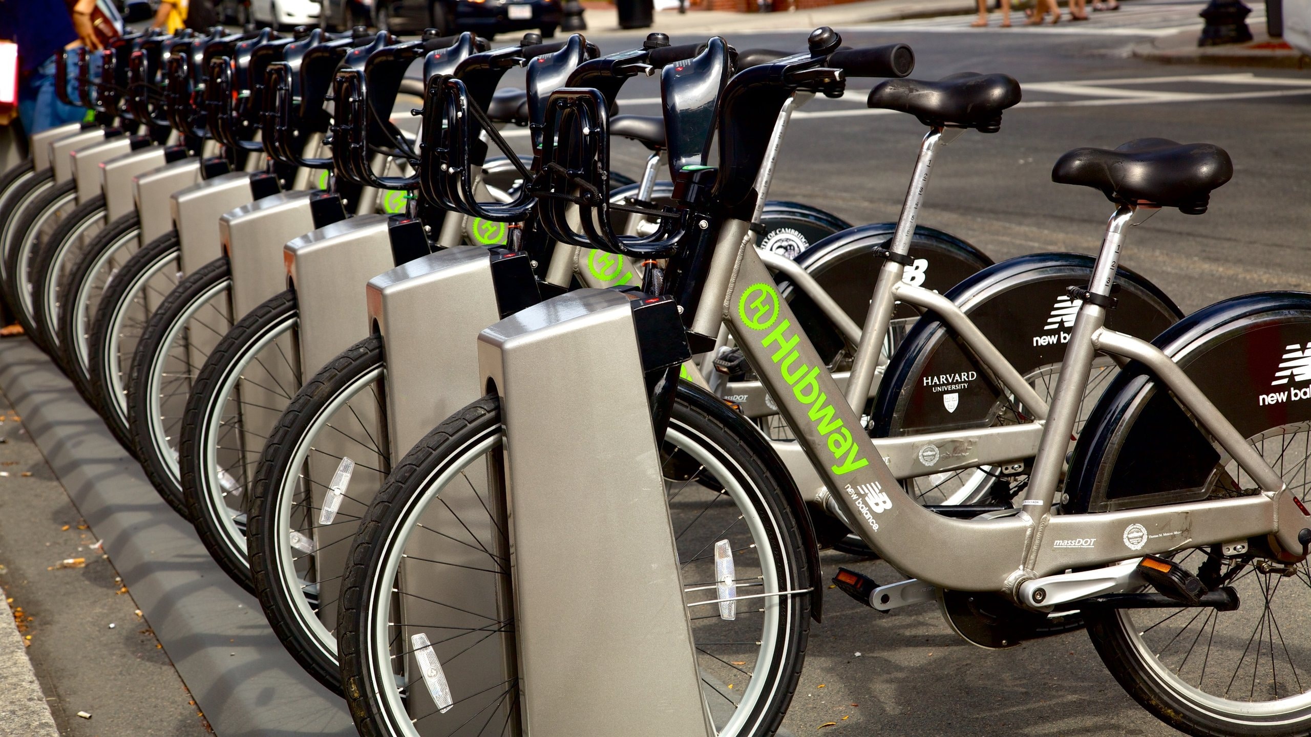 Newbury Street Tours Book Now Expedia