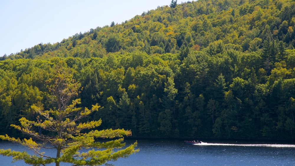 Maine featuring forests, boating and a river or creek