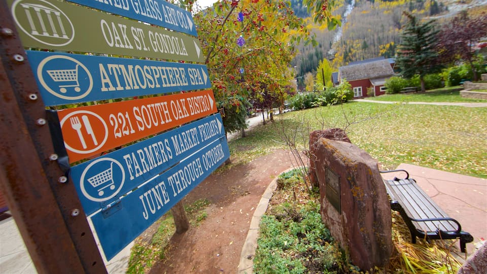 Telluride Ski Area showing a garden and signage