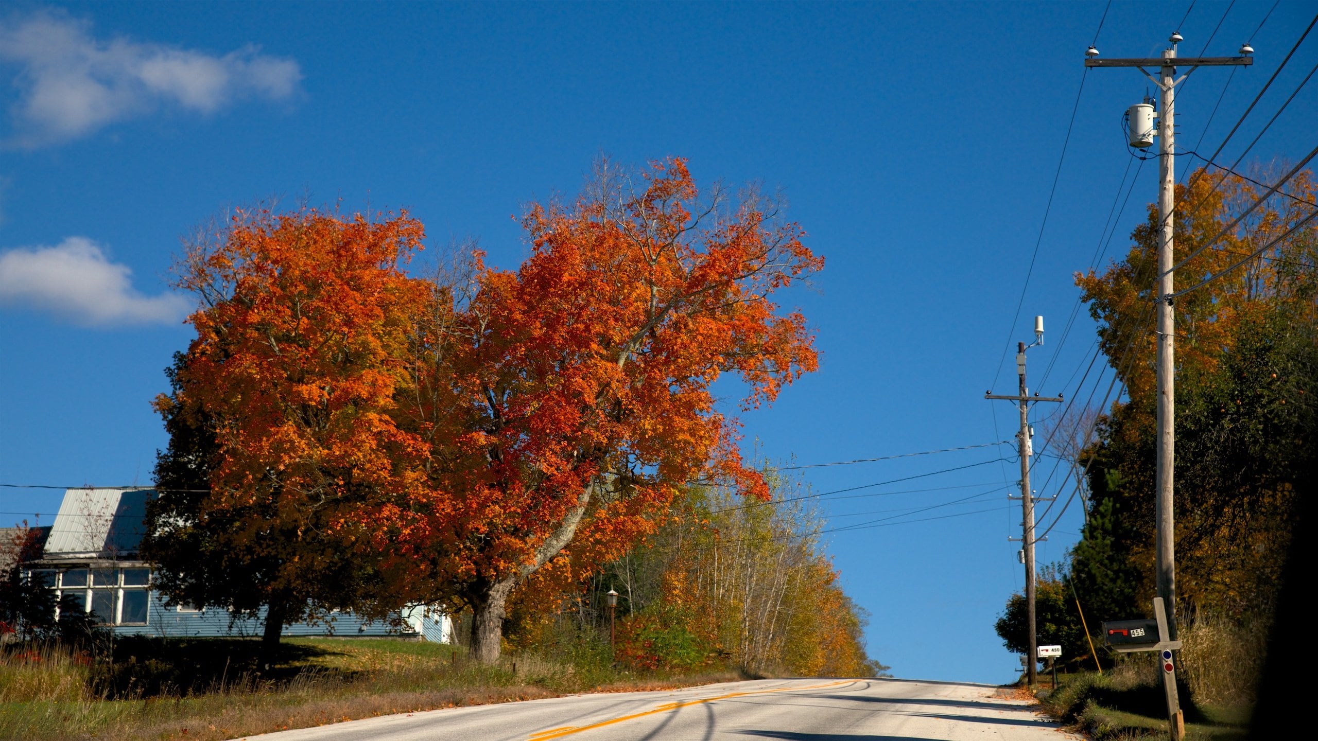 Bangor featuring tranquil scenes and fall colors