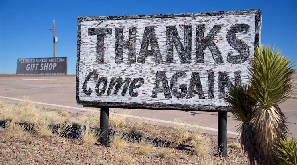 Holbrook showing desert views and signage