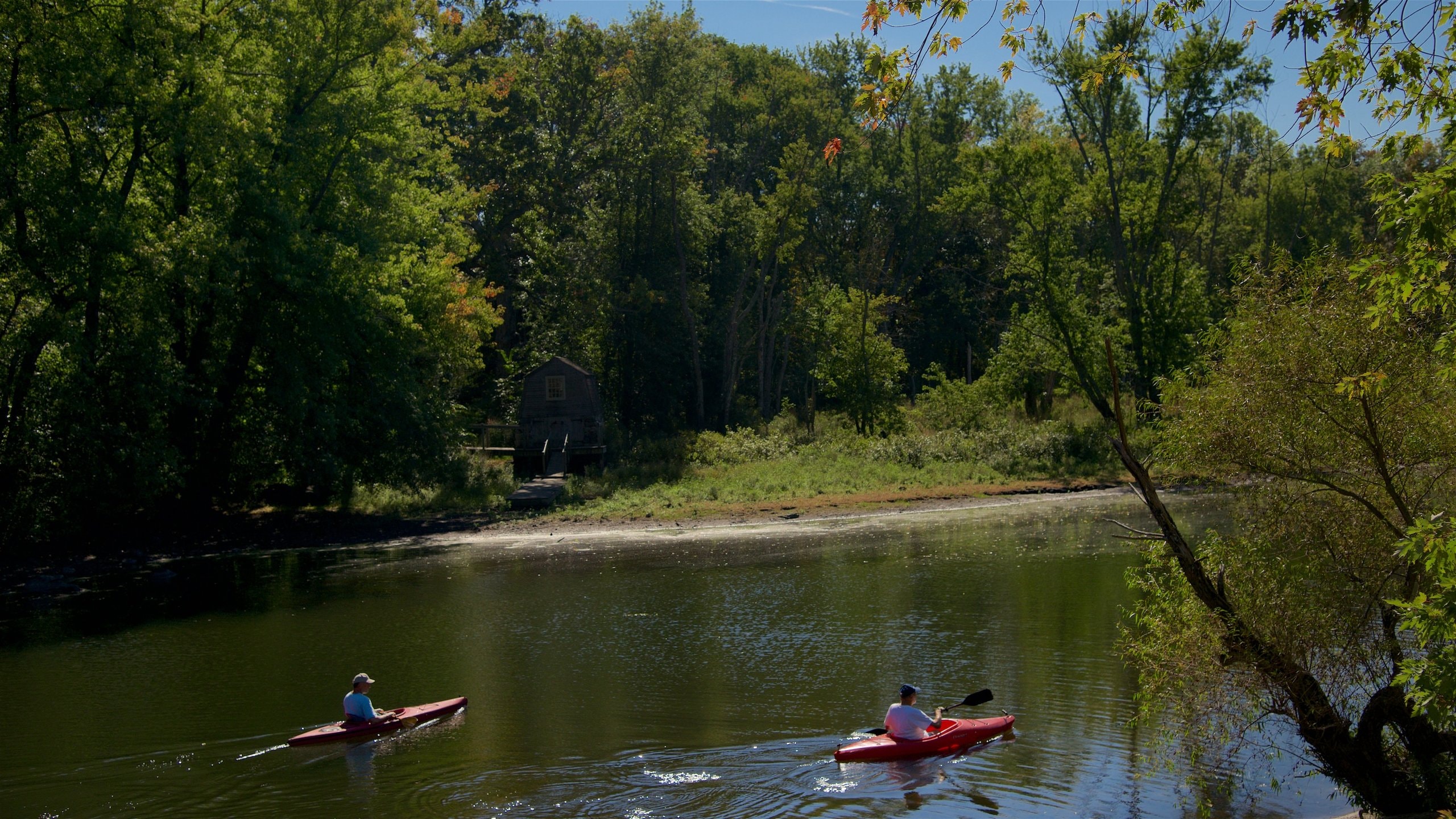 Concord featuring kayaking or canoeing and a river or creek as well as a couple