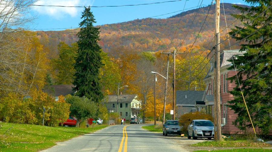 Hancock showing a small town or village and tranquil scenes