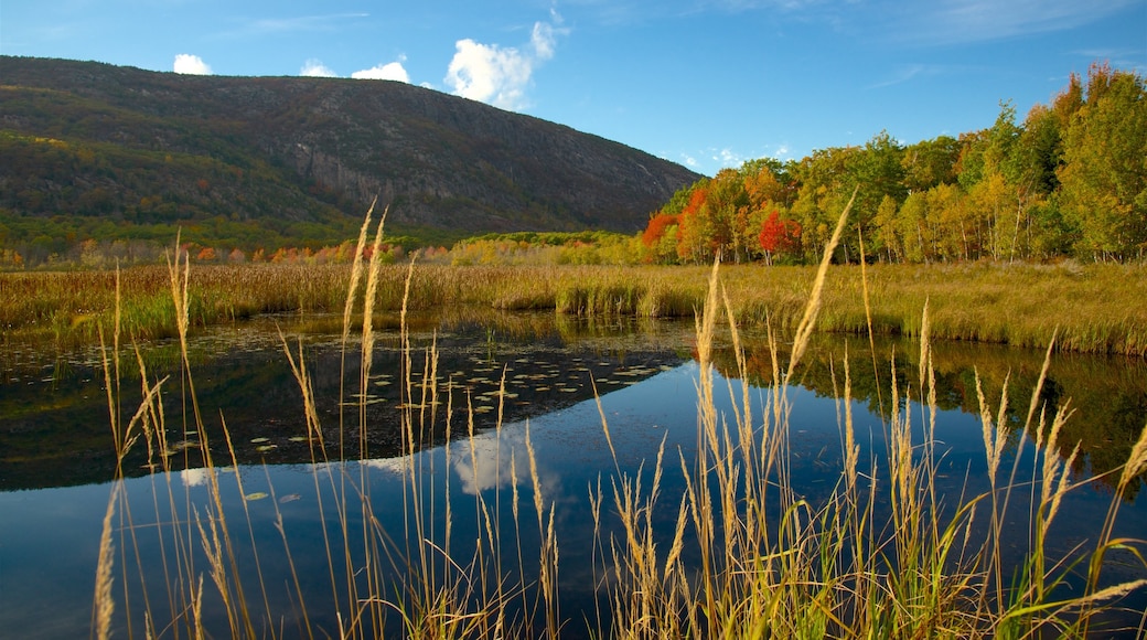 Acadia National Park which includes a pond and tranquil scenes