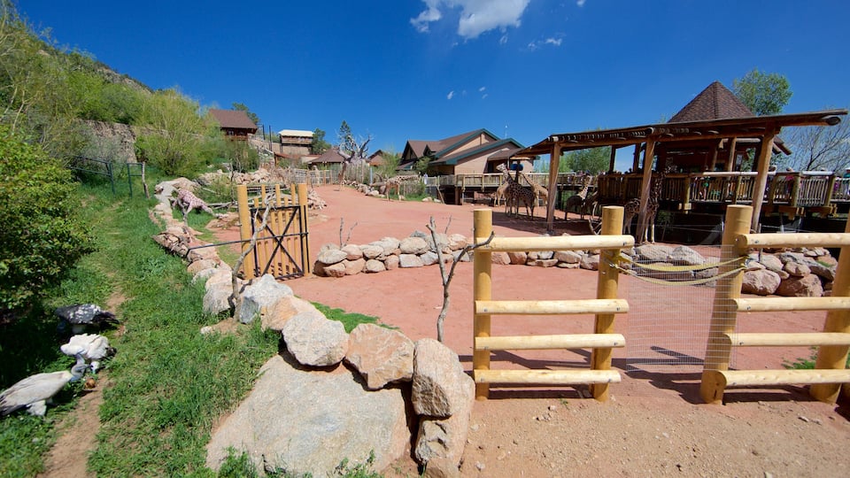 Cheyenne Mountain Zoo which includes zoo animals