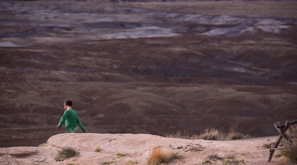 Blue Mesa showing landscape views and tranquil scenes as well as an individual male