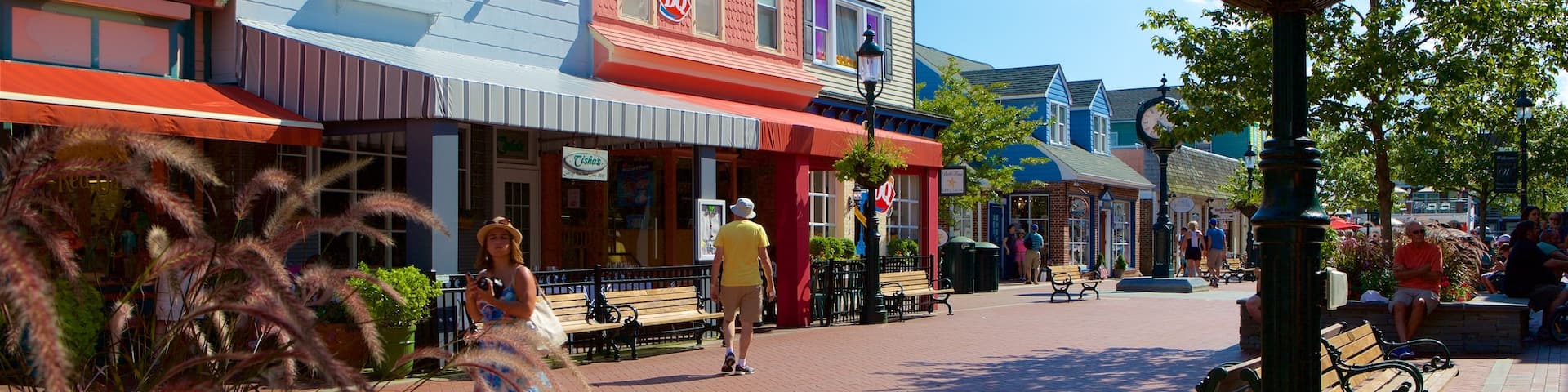 Cape May, Wildwood das einen Blumen