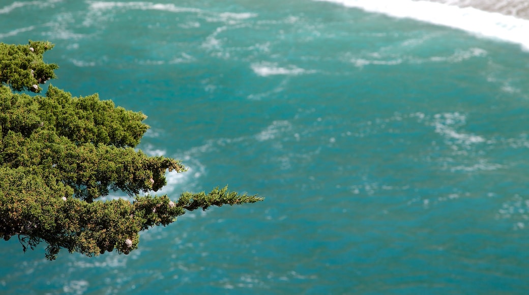 บิ๊กเซอร์วิลเลจ