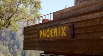 Big Sur which includes signage