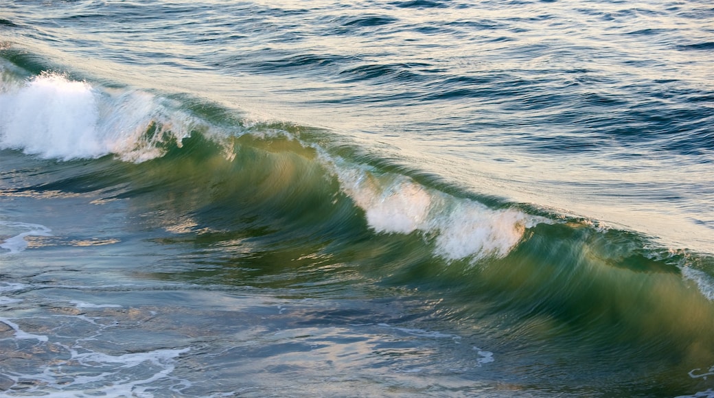 Santa Monica Beach showing general coastal views and waves