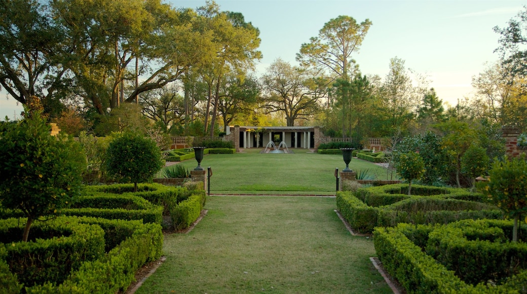 Longue Vue House and Gardens showing a garden