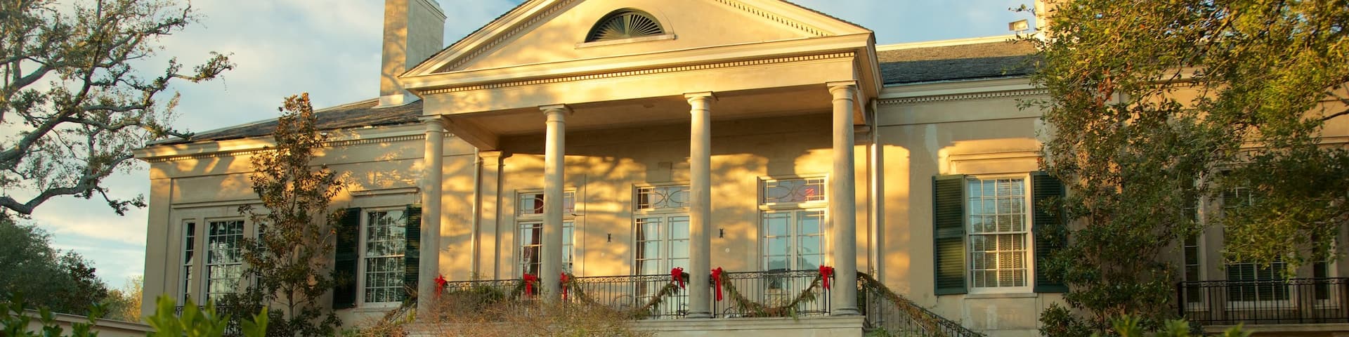 Longue Vue House and Gardens showing a house, a park and heritage elements