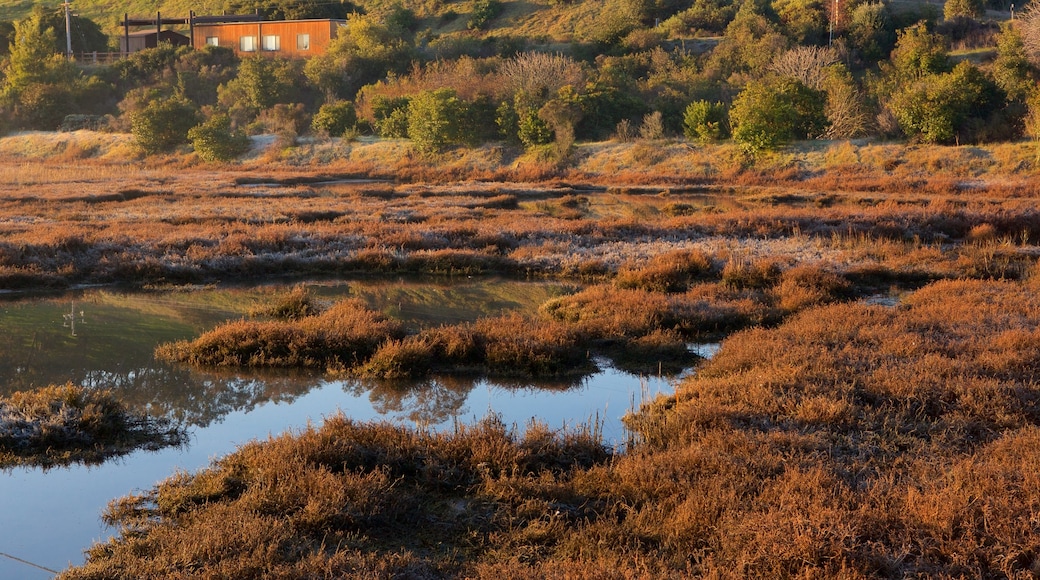 Don Edwards San Francisco Bay National Wildlife Refuge das einen ruhige Szenerie und Sumpfgebiet