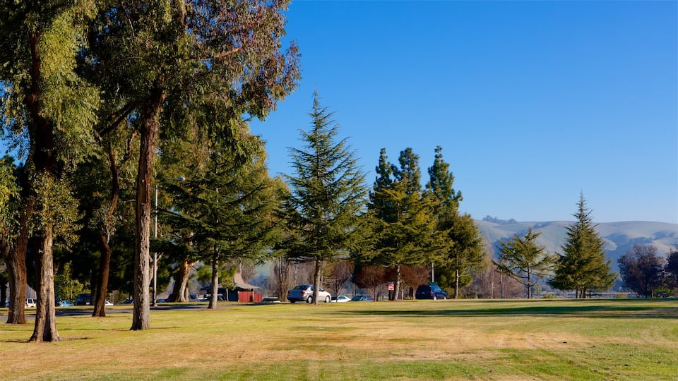 Fremont Central Park featuring a garden