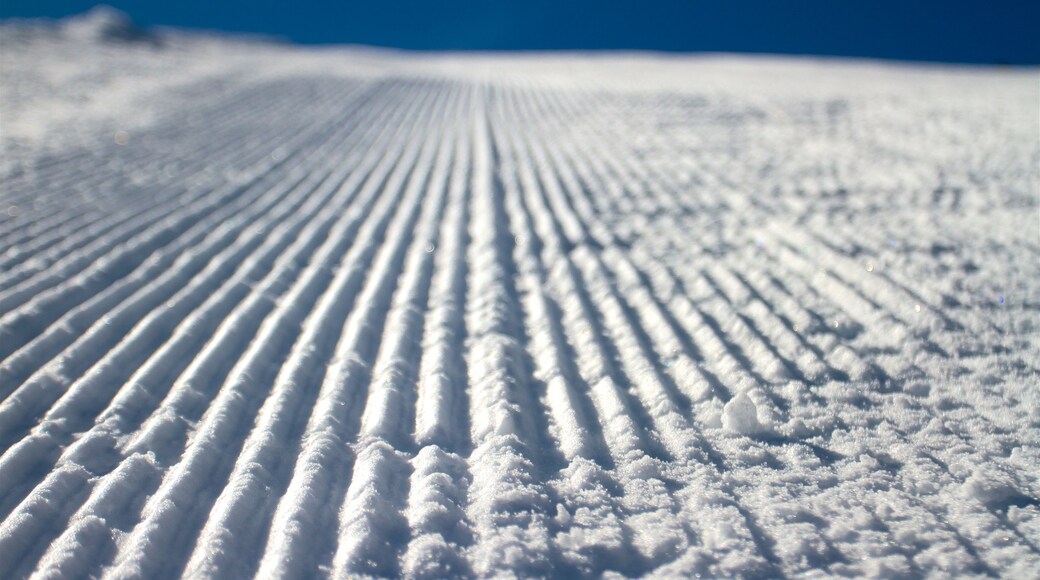 Sugar Bowl mostrando neve