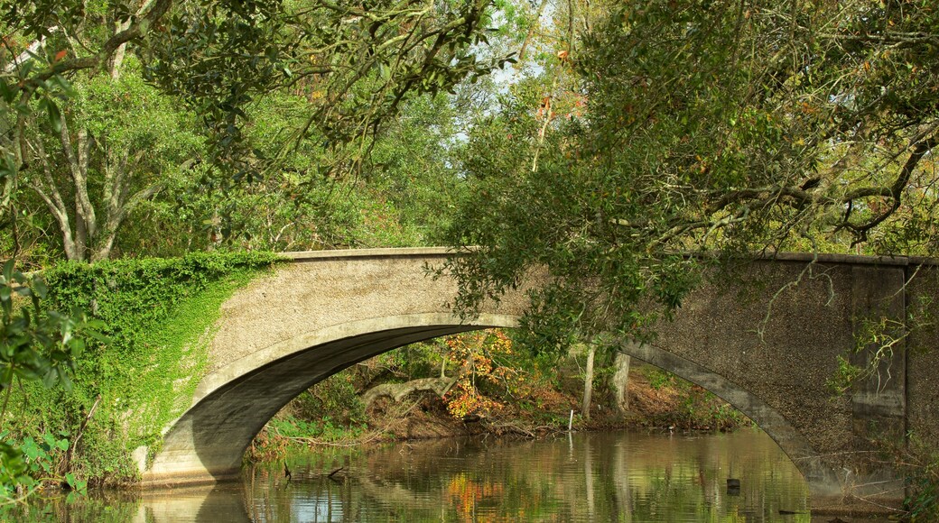 Taman Audubon