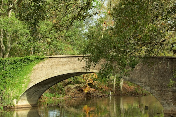 Audubon Park mettant en vedette pont et rivière ou ruisseau