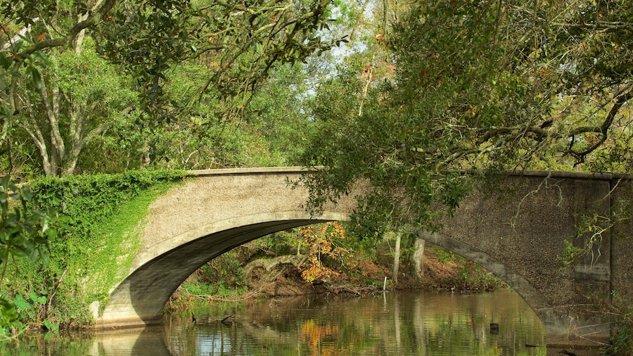 Audubon Park which includes a bridge and a river or creek
