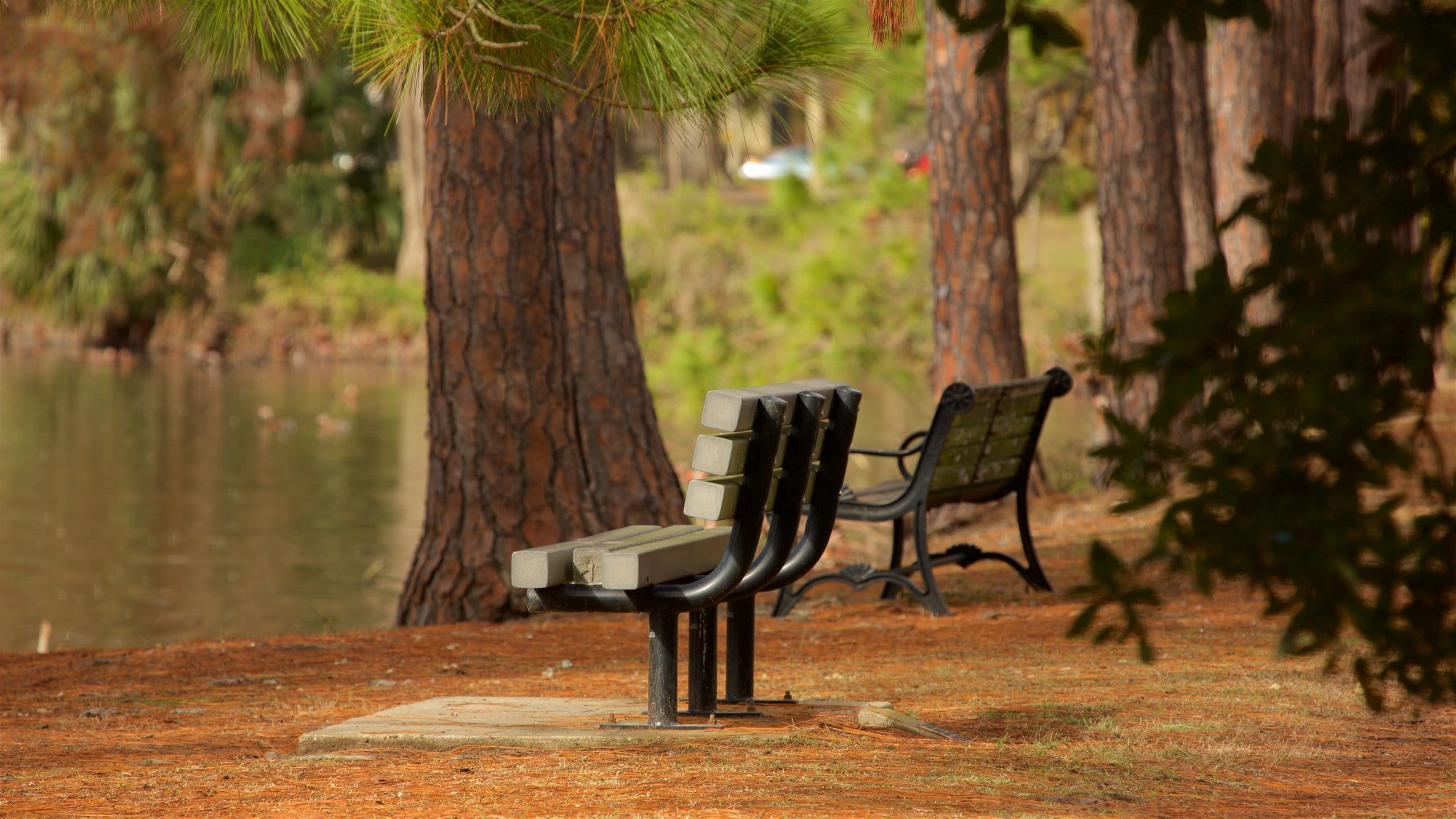 Audubon Park Tours Book Now Expedia