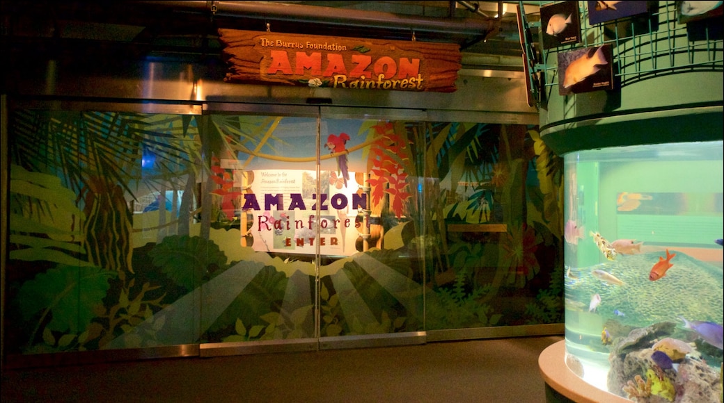 Audubon Aquarium of the Americas featuring interior views and signage