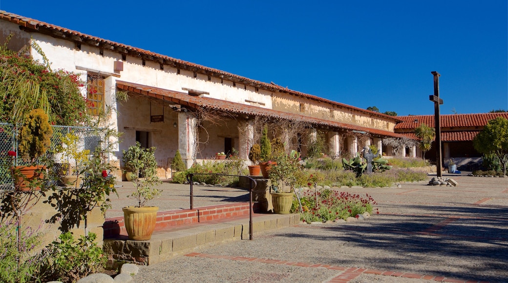 Carmel Mission Basilica welches beinhaltet Wildblumen