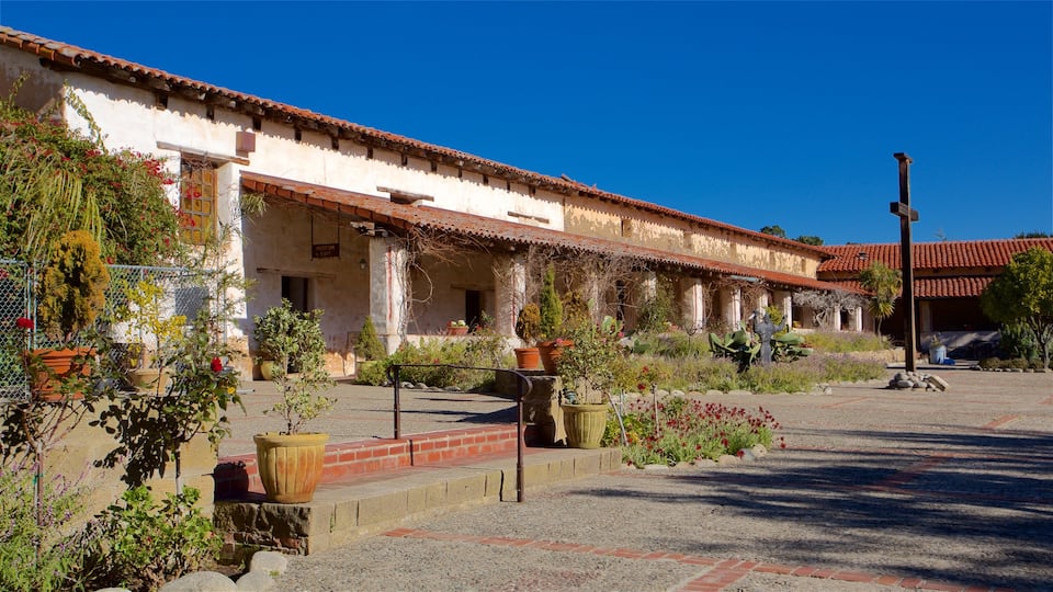 Carmel Mission Basilica featuring wild flowers