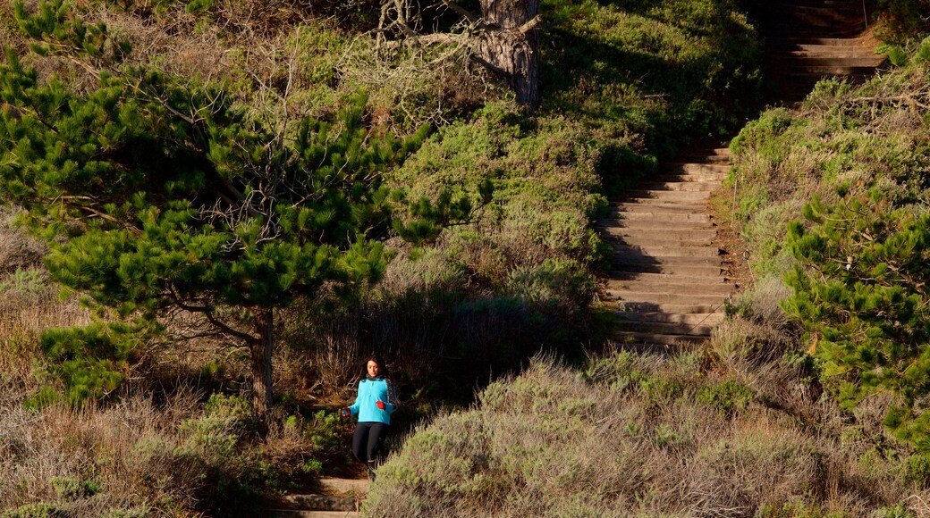 Point Lobos State Reserve bevat hiken of wandelen en vredige uitzichten en ook een vrouw