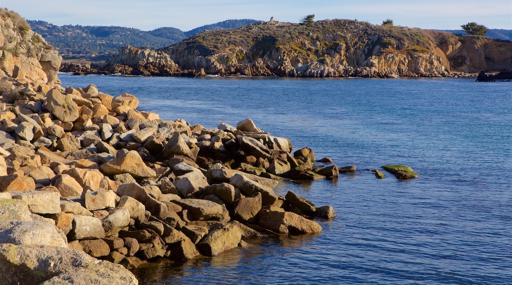 Point Lobos State Reserve inclusief algemene kustgezichten en rotsachtige kustlijn