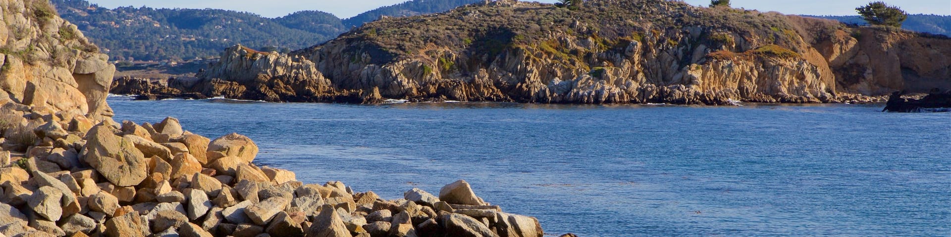 Point Lobos State Reserve featuring rocky coastline and general coastal views