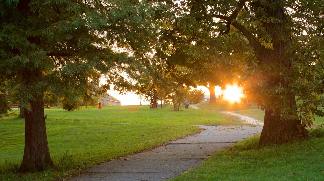 Patterson Park mostrando um pôr do sol e um jardim