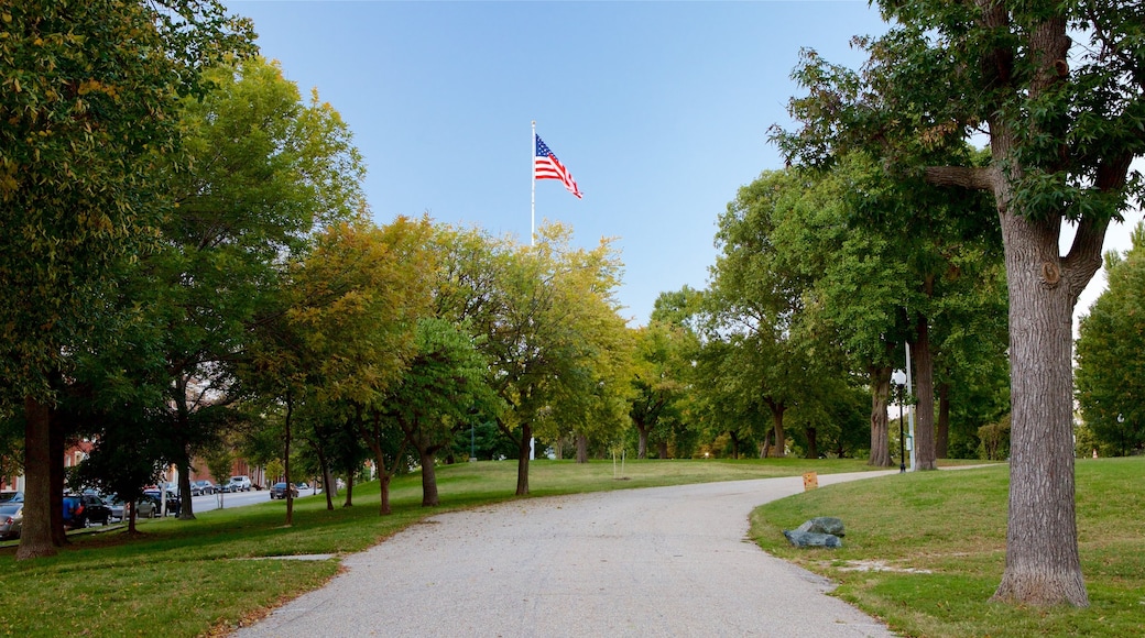 Patterson Park mostrando um parque