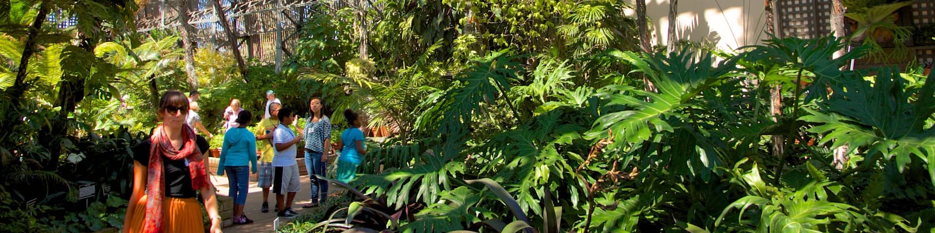 San Diego showing a garden and interior views as well as an individual femail