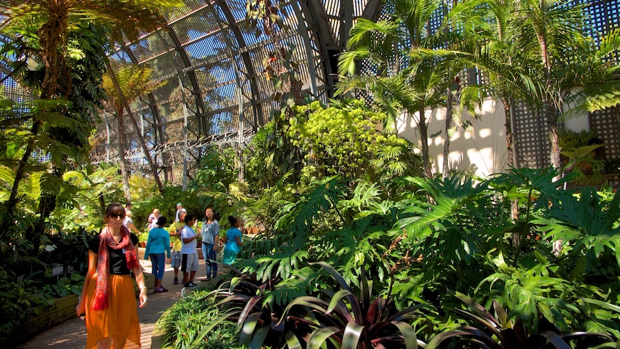 San Diego che include giardino e vista interna cosi come ragazza