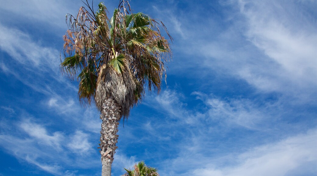 Mission Bay