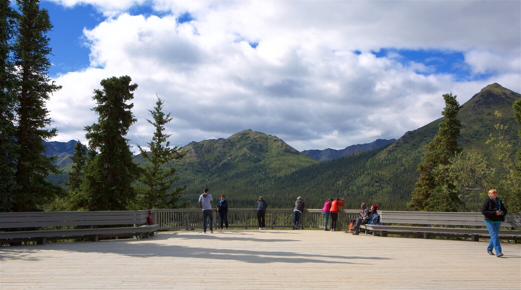 The George Parks Highway Scenic Byway