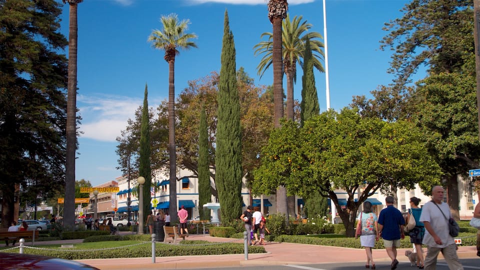 Old Towne featuring a park